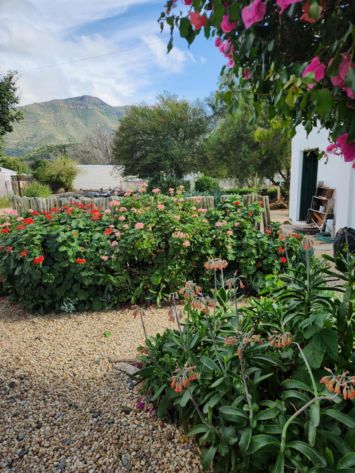 Die Dorpshuis Graaff-Reinet Exterior foto